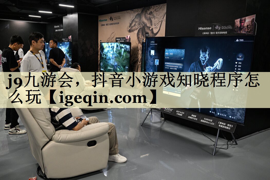 雷竞技raybet，抖音小游戏知晓程序怎么玩